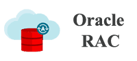 Oracle Real Application Cluster