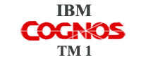 Cognos TM1