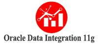 Oracle Data Integration 11g