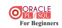 Oracle Fundamentals and PL SQL for beginners