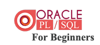  Oracle Fundamentals and PL SQL for beginners 