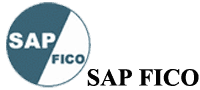 SAP FICO