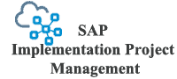 SAP Implementation Project Management