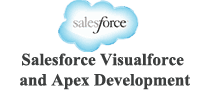 Salesforce Apex Coding and VisualForce Designing Certification Course