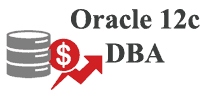 Oracle 12c DBA