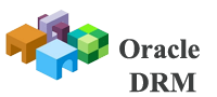 Oracle Data Relationship Management DRM