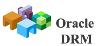  Oracle Data Relationship Management DRM 