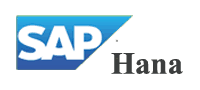  SAP HANA 